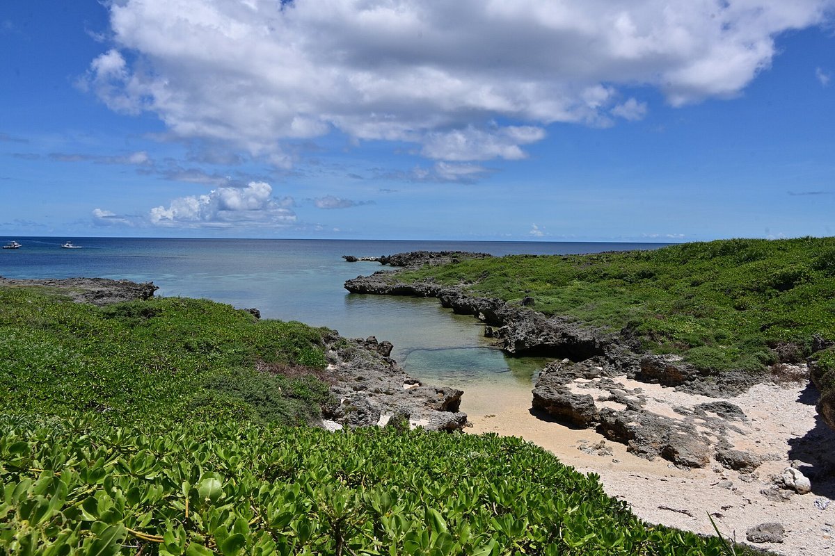🏞️ 백조 곶 공원(시라토리미사키코엔) 이미지 4